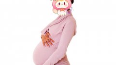 ݴ蹫˾ļҺ
