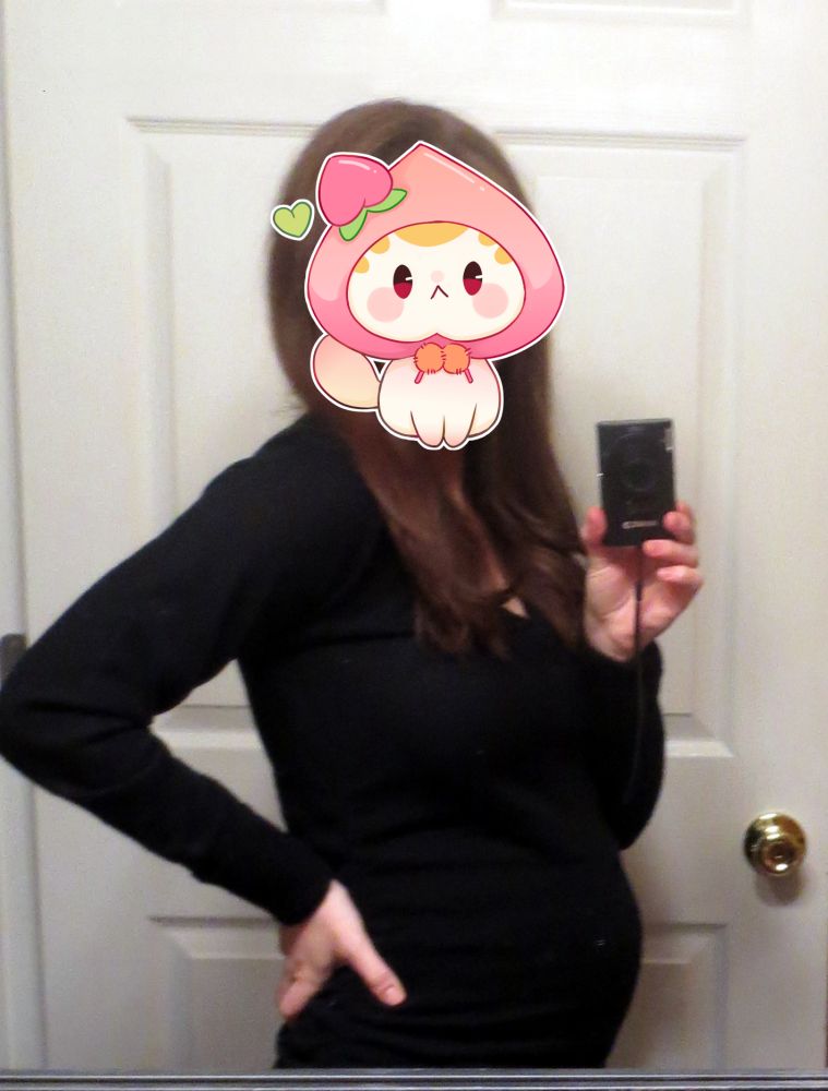 ӦƸ˾